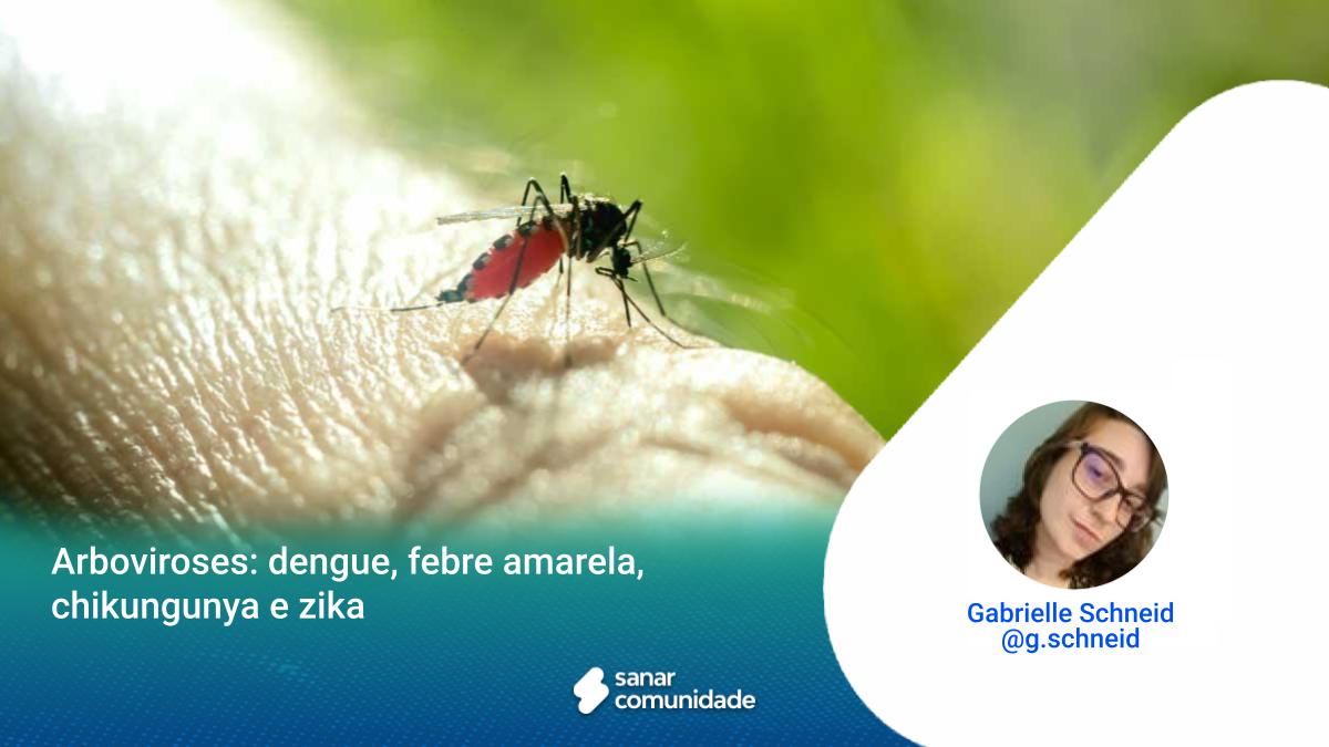 Arboviroses: dengue, febre amarela, chikungunya e zika - Sanarmed, image size:1200x675