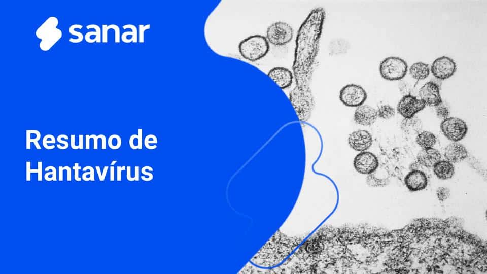 Resumo de Hantavírus: epidemiologia, fisiopatologia, diagnóstico e ...